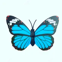 original sound - veravinolia12