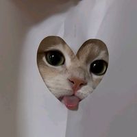 suara asli - RAN🍀
