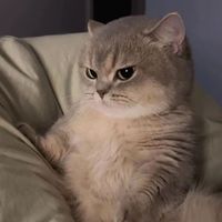 7ychi_