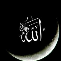 naveed_afridi_official