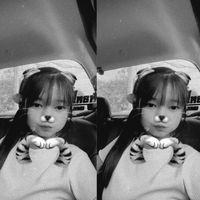 aranya_2556