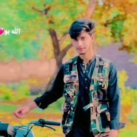 mubashir.khan661