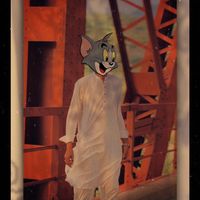 mehroo9345