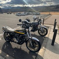 sho.cb408