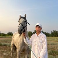 dimash_55_