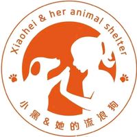 hubeizaoyangshelter