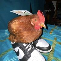 johan_18363pro5716p1he18