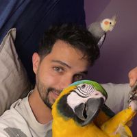 cookie.birds