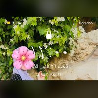 yara_zaid21