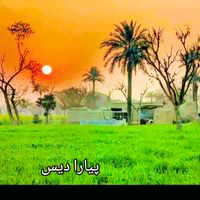 user7860001786