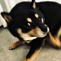 quinn_0610