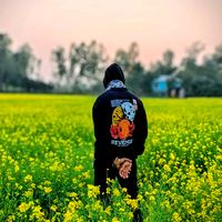 tohid_boy____56852