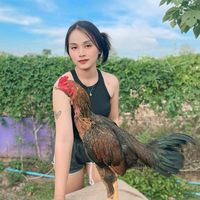 beemkong0