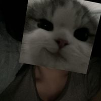 le__katt