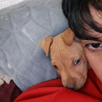 original sound - kidd_triste