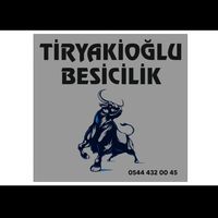 tiryakioglu037