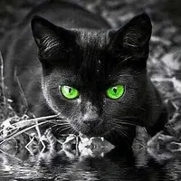 original sound - yuliyal7