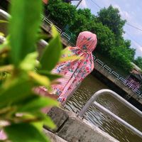 เสียงต้นฉบับ - ไอตินชอบนักมวยยย