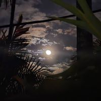moonlover29042