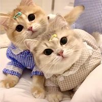 cutieyes_