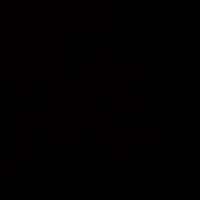 ali_pzone