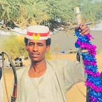 الصوت الأصلي