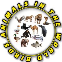 birdsanimalsintheworld