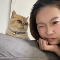 nhạc nền - w