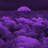 tee_calfornia13