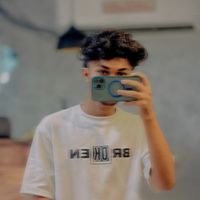 the_asnif0.1