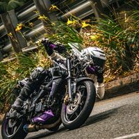 elflaco_0721