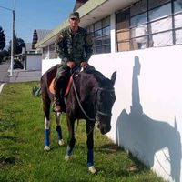 sonido original