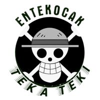 entekocak31