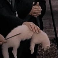 malfoy._.d925