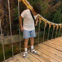 sane_lankrrt