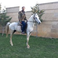 eldeniz0141