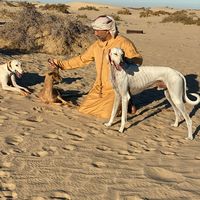 aldhafra.kennel
