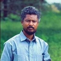 mustafatrupo