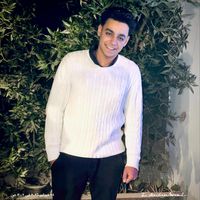 mohamed_mounir.03
