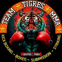 team.tigres.mma