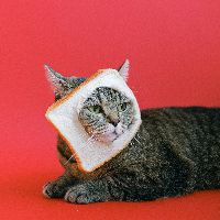 original sound - bestfunnyvideo022