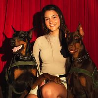 dois_dobermans