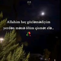 qemli_ve_kusgun_oglan