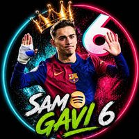 sam.gavi.culler