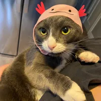 original sound - kittylover61