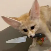 original sound - ohsheeee_itsafox