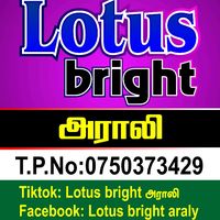 lotus.bright4