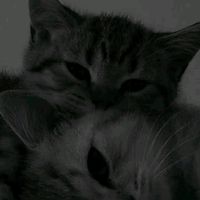 elvia.mendoza.mac