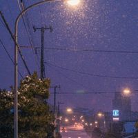nhạc nền - 🍀🍃yang zi 🍀🍃