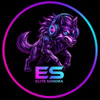 elitesonorabr